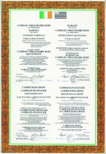 La charte du jumelageen quatre langues : anglais, français, gaëlique et breton.